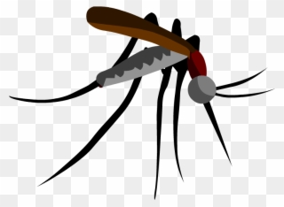 Parasitism Drawing Mosquito Clipart Black And White - Mosquito Cutout - Png Download