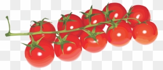 Banner Freeuse Download Cherry Tomato Clipart - Cherry Tomato No Background - Png Download