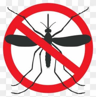 Mosquito Graphic - Dengue And Malaria Art Clipart