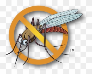 Health Care Tips For Kids - No Mosquito Icon Png Clipart