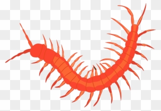 Net » Clip Art » Worm 3 Svg - Insect Png Transparent Png