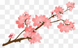 Cherry Blossom Clipart At Getdrawings - Transparent Cherry Blossom Vector - Png Download