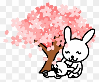 Cherry Blossom Clipart At Getdrawings - Rabbit - Png Download