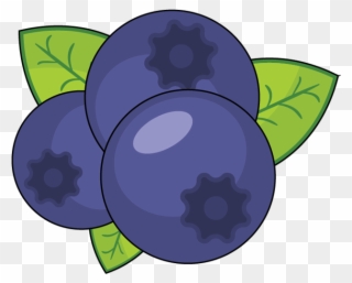 Blueberries Smoothie 3 Blueberry Clipart 783809 Pinclipart