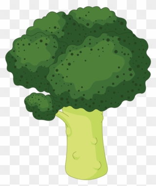 Lettuce Clipart Broccoli - Color Verde En Caricatura - Png Download