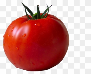 Lettuce Clipart Single Vegetable - Tomato Transparent Png