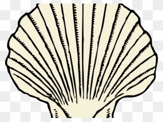 Clams Clipart Kerang - Seashell Clip Art - Png Download