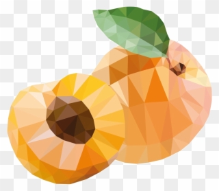 Apricot Stone Clipart