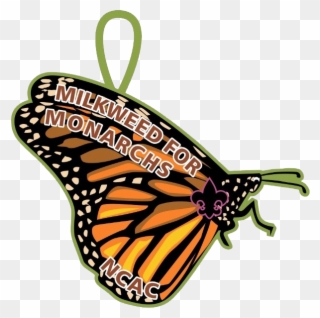 National Capital Area Council - Monarch Butterfly Clipart