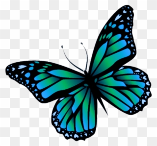 Butterfly Mariposa Monarch Monarca Nature Naturaleza - Butterfly Monarcas Clipart - Png Download