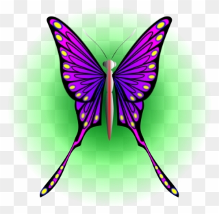All Photo Png Clipart - Brush-footed Butterflies Transparent Png