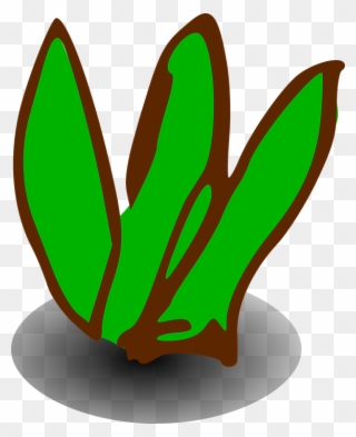 Shrub Bushes Clipart Green Plant - กอ หญ้า การ์ตูน Png Transparent Png