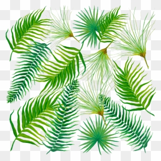 And Ferns Beach Towel For Sale By - Palm Tree Clipart