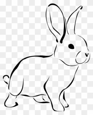 Rabbit Animal Wildlife Nature Bunny Spring Hare - Rabbit Black And White Clipart