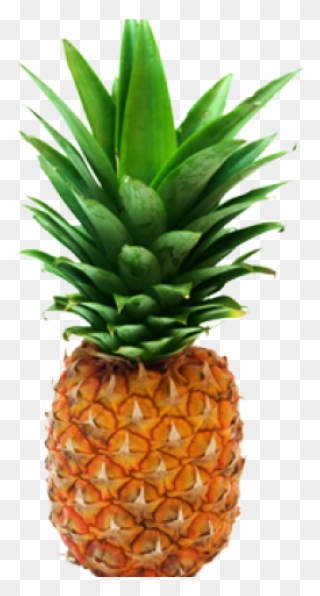 Pineapple Png Transparent Images - Transparent Pineapple Clipart