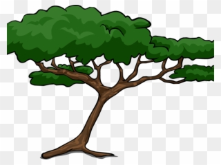 Bushes Clipart Bare - African Tree Clip Art - Png Download