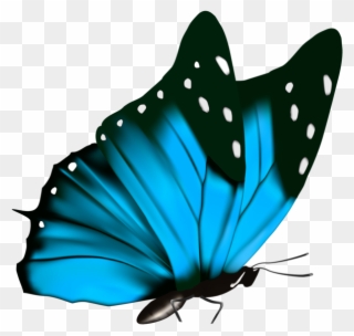 Butterfly Png Clipart Image - Blue Butterfly Png Transparent Png