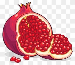 Pomegranate Clip Art Pomegranate Clipart Photo Niceclipart - Pomegranate Clipart Png Transparent Png