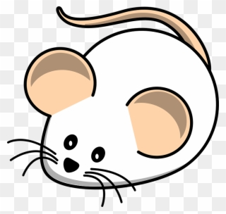 Cartoon Mouse Pictures - White Mouse Clipart - Png Download