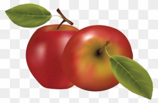 19 Apples Clip Art Freeuse Huge Freebie Download For - Apple Clipart - Png Download