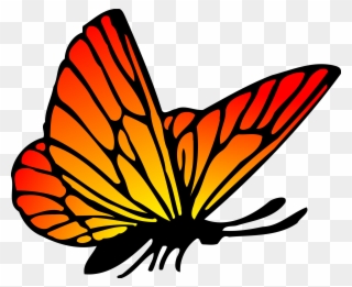 Non-copyrighted Clip Art Butterfly - Kupu Kupu Vektor - Png Download