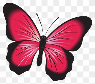 Butterfly, Pink, Clip Art, Insect, Nature, Natural, - Gambar Kupu Kupu Warna Merah - Png Download