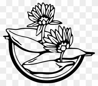 Free Vector Water Lily Clip Art - Water Lily Clipart Black And White - Png Download