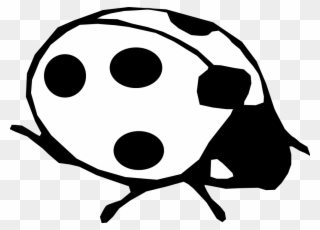 White Clipart Ladybug - Ladybird Black And White - Png Download