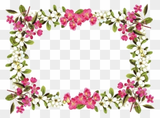 Flowers Borders Clipart High Resolution - Pink And White Flower Border - Png Download