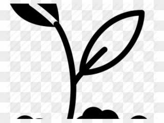 Soil Clipart Need Plant - Plant In Soil Icon - Png Download
