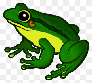 Green Frog Clipart Froglet - Frog Clipart - Png Download