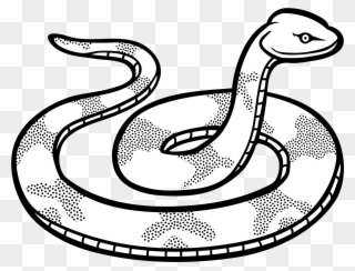Snake Line Clipart - Clip Art Black And White Snake - Png Download