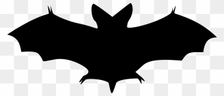Bat Image File Bat Shadow Black Svg Wikipedia - Halloween Bat Clipart - Png Download