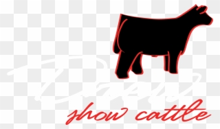 Cow Clip Art Logo - Show Cattle Logo - Png Download