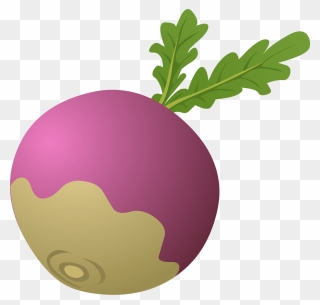 Other Popular Clip Arts - Turnip Clipart - Png Download