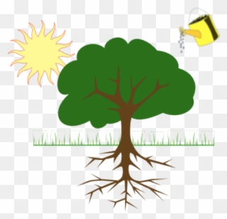 Plants Depend On Water, Soil And Sunlight To Grow Bigger - Roots Of Anger Clipart