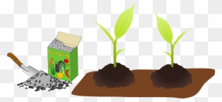 Big Image - Fertilize The Plant Clipart - Png Download