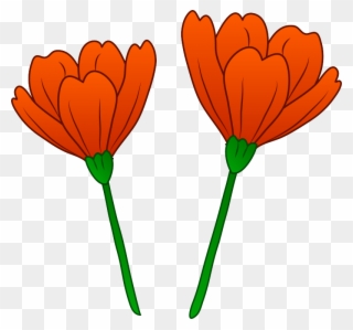 Picture California Poppy Clipart - Poppy Flower Art Transparent - Png Download