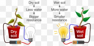 Dry-wet Soil Diagram - Getting To Know Plants Clipart