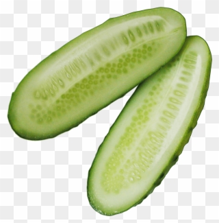 Cucumber Slice Png - Cucumber Png Clipart