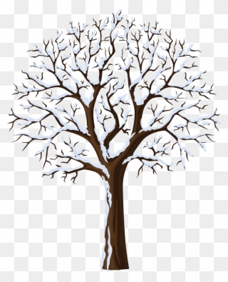 January Clipart Snowtree - Bare Tree Transparent Background - Png Download