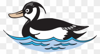Water Bird Duck Free Vector Graphic On - Bird On Water Clipart - Png Download