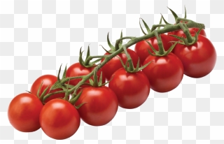 Tomato Cherry On Vine Clipart