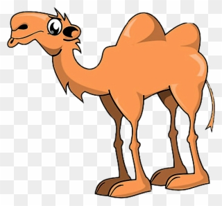Animals Camel Hump Humpday Freetoedit - Camel Two Humps Cartoon Clipart