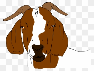 Boer Goat Clip Art - Boer Goats Clip Art - Png Download