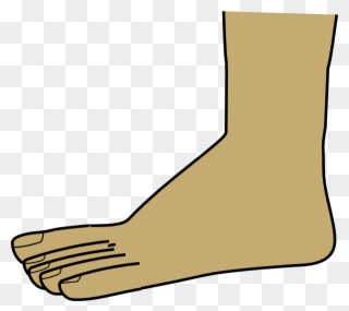 Foot Clipart Transparent - Png Download