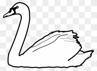 Swans Drawing At Getdrawings - Swan Clipart Black And White - Png Download