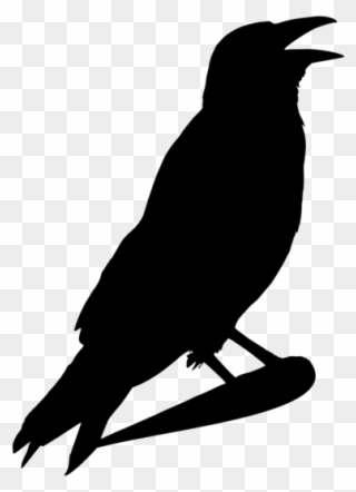 Crow Clipart Halloween - Crow Head Clipart Black And White - Png Download