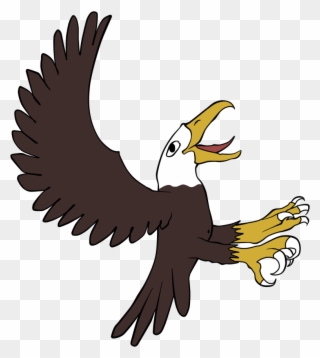 Bald Eagle - Derpy Eagle Clipart