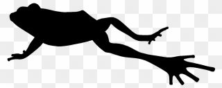Silhouette Of Jumping Frog - Jumping Frog Png Black Clipart